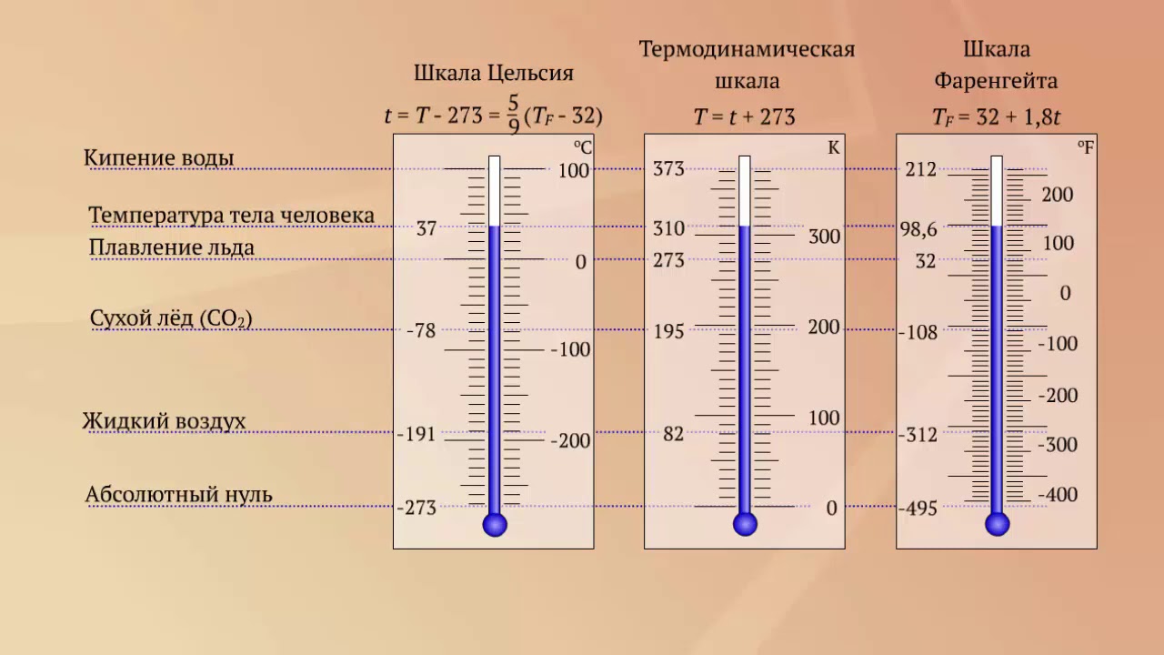 Температура тела здорового человека равна 36 6 такую температуру называют нормальной на рисунке