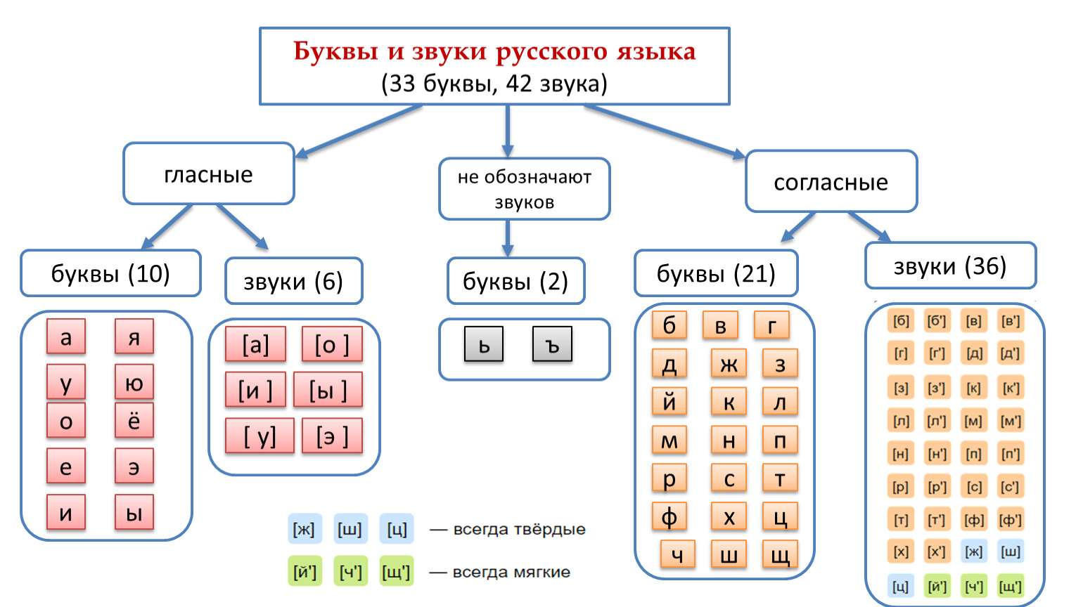 Весел сколько букв и звуков