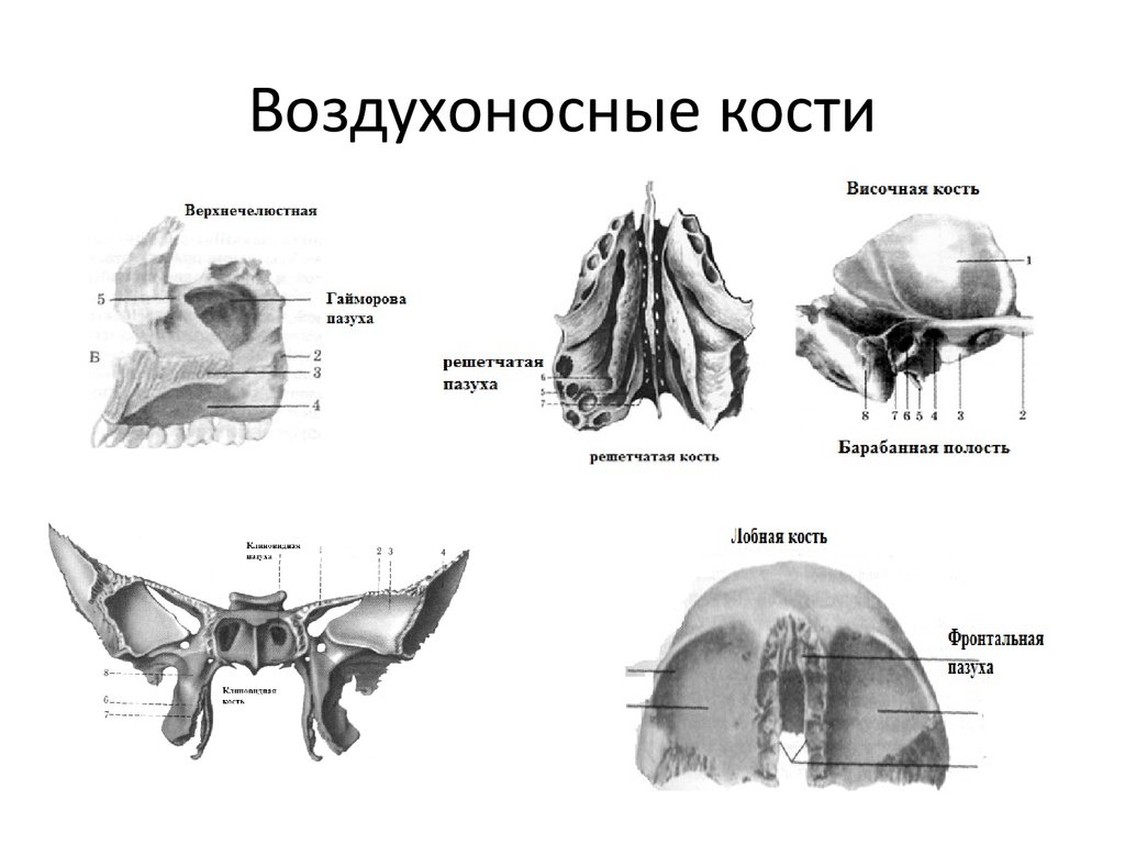 Решетчатые функции и их изображения