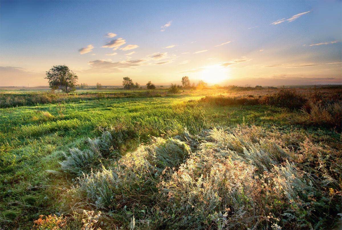 Фото степь россии