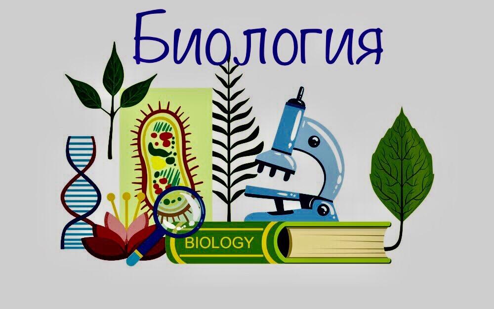 Рисунки по биологии огэ