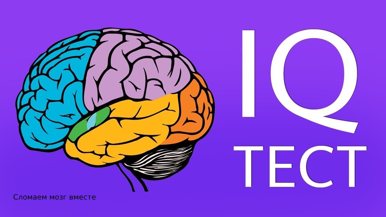 Что такое IQ и как его проверить? - Санкт-Петербург