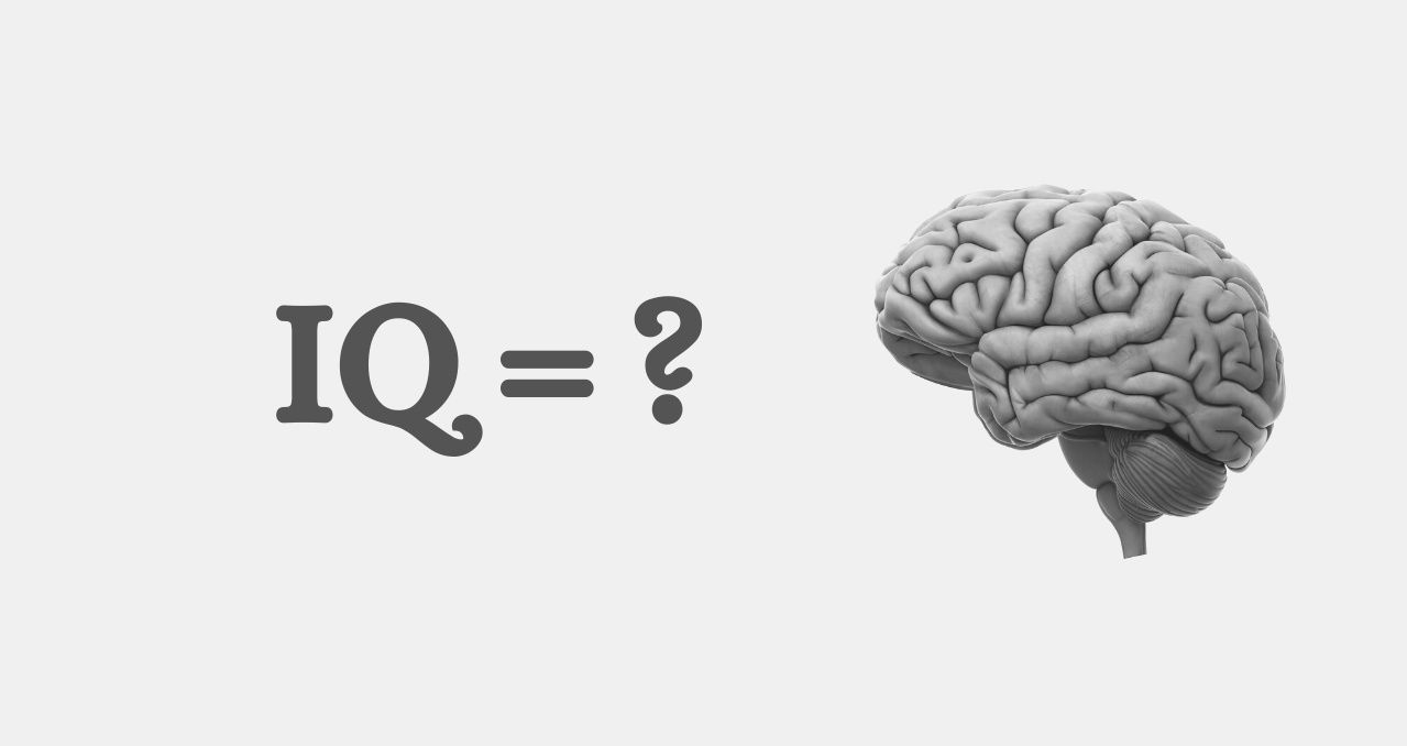 Что такое IQ и как его проверить? - Санкт-Петербург