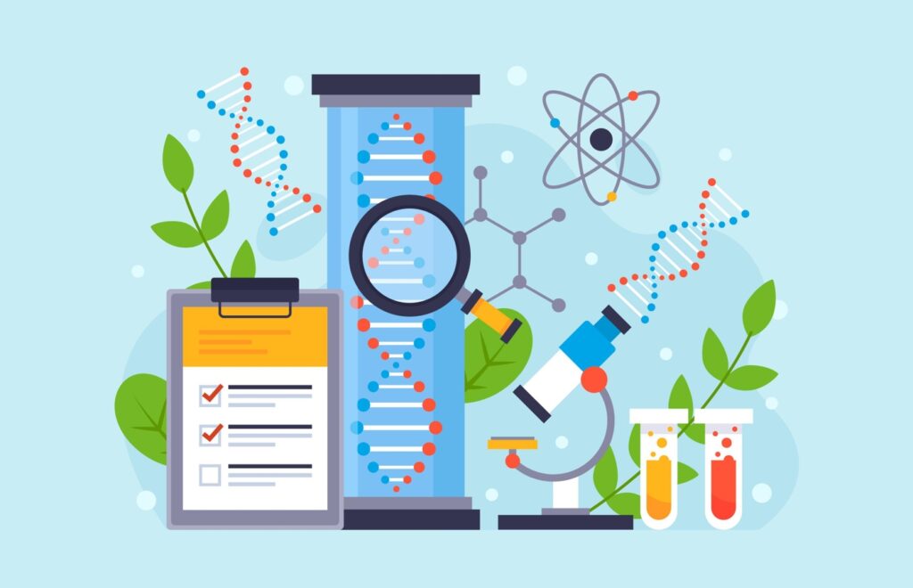 Размножение человека: строение яйцеклетки и сперматозоида