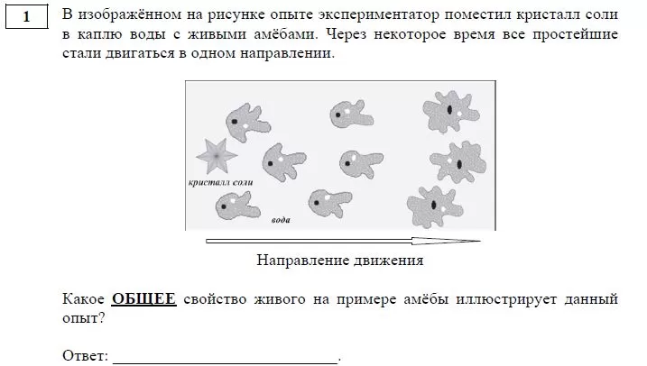 Варианты Огэ Биология 2022 Год Новые