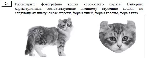 Варианты Огэ Биология 2022 Год Новые