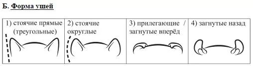 Варианты Огэ Биология 2022 Год Новые