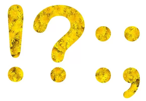 Двоеточие, тире, запятая: как решать задание №21 на ЕГЭ по русскому языку