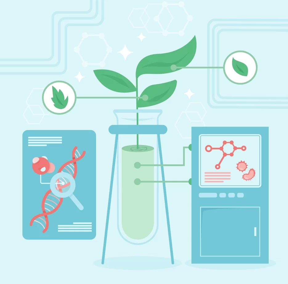 Биосинтез белка в клетках: что это такое?