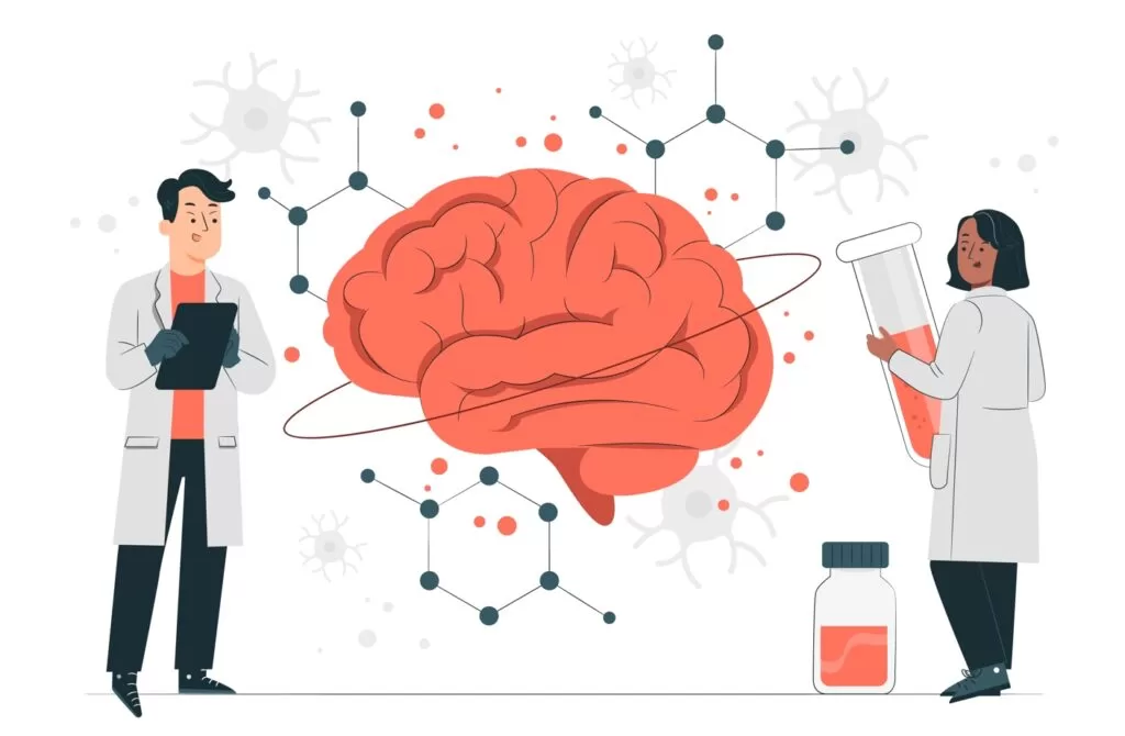 Нервная система человека: строение