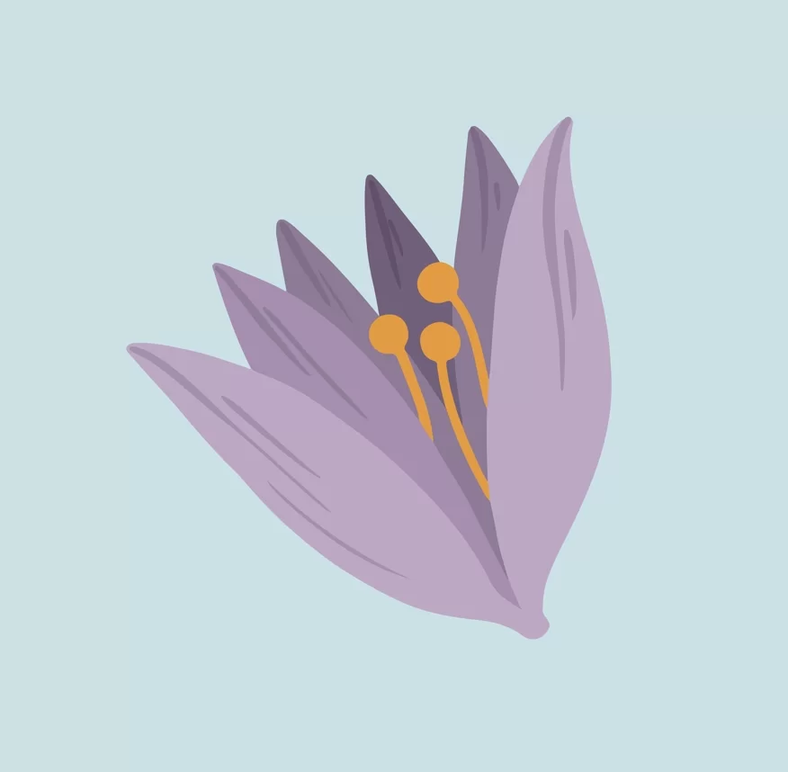 Биология 6 класс: строение цветка